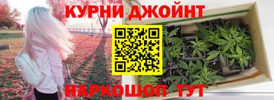 прущие крисы Кимры