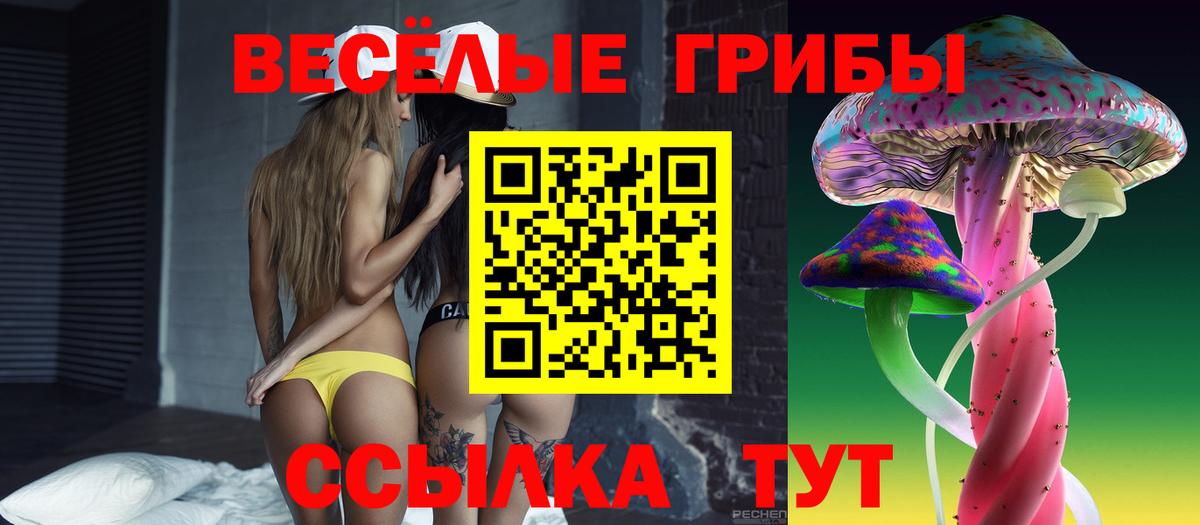 Галлюциногенные грибы MAGIC MUSHROOMS  Вход с VPN  Клинцы  Псилоцибиновые грибы мицелий 